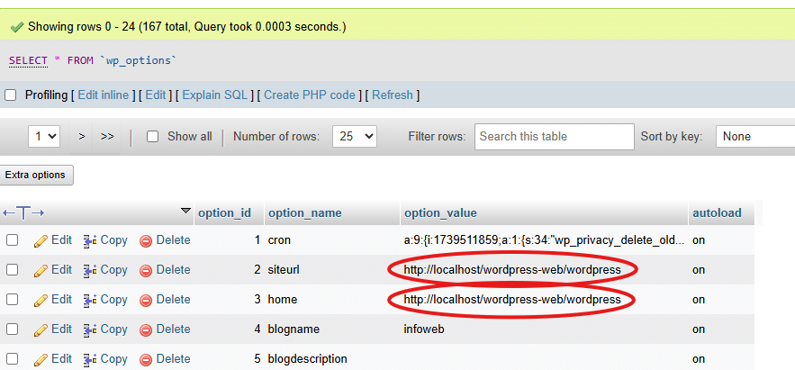 Update the wp_options Table